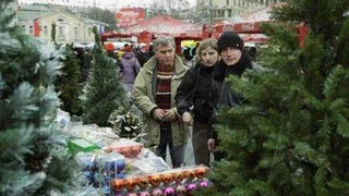 Елочные базары откроют в Брянске 17 декабря