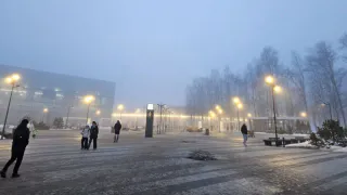 Окажутся на коне: эти 2 знака Зодиака в феврале одержат ряд крупных побед — и в карьере, и в любви