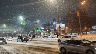 «Впереди долгая холодная зима»: в России ожидаются заморозки