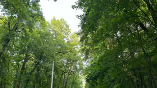 Рязанские студенты стали дипломантами олимпиады «Я – профессионал»