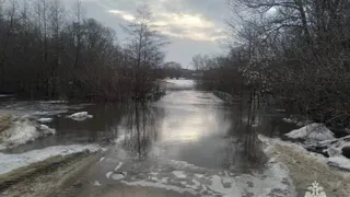 В Рязанской области затопило ещё два низководных моста