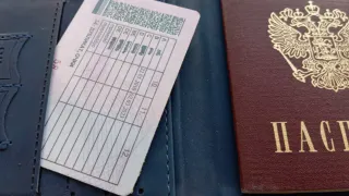 Уберите эту отметку из прав: автоюрист объяснил - почему от нее нужно скорее избавиться