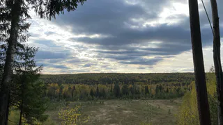 Коми увеличила экспорт фанеры и древесных плит на 26%