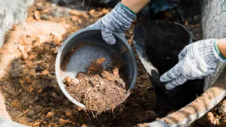 Россиян оштрафуют на полмиллиона за навоз