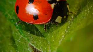 Народные приметы и суеверия наших бабушек на все случаи жизни