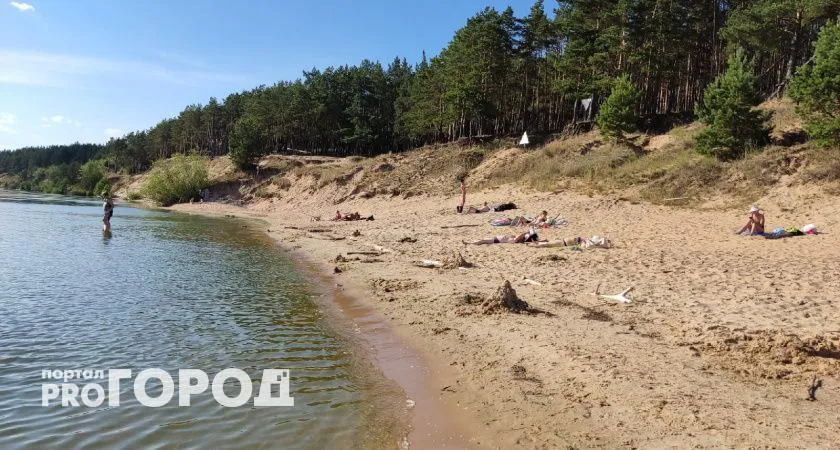 До +33 градусов: синоптики рассказали, когда вернется жара. Уже совсем скоро