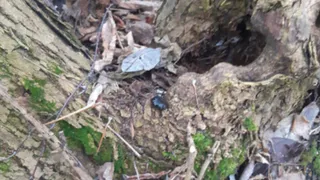 Во Владимире арестовали 17-летнего подростка за попытку сбыта запрещённых веществ