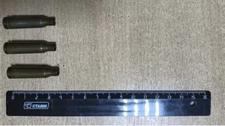 Житель Стародубского района осужден за незаконное хранение и сбыт патронов