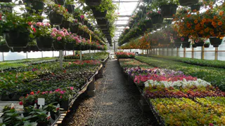 В Коми открылся новый сельхозсезон