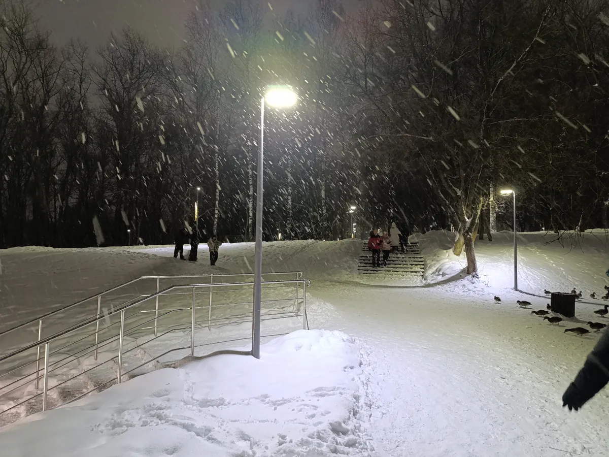 «Не мороз, а кое-что похуже»: синоптики предупредили о новой климатической аномалии, которая накроет Россию этой зимой