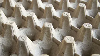 Картонные лотки от яиц: универсальные помощники для дачников