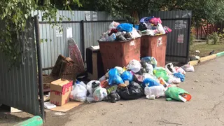 "Эко-Пронск" назвал сумму единого тарифа на вывоз мусора