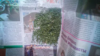 В Пензе сотрудники полиции задержали мужчину в момент передачи наркотиков