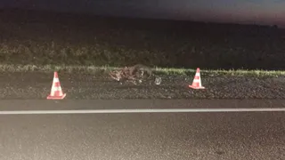 В Ряжском районе в ДТП с Toyota погиб водитель мопеда