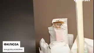 Кофе с топпингом изобрели в супермаркете Татарстана 