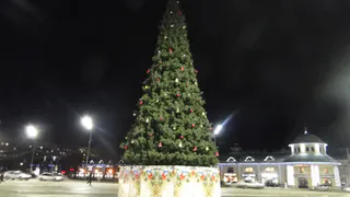 Огни ночного города: как Рязань готовится к встрече Нового года –фоторепортаж