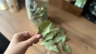 Почему бабушка всегда держала лавровый лист в кошельке: узнала и теперь делаю также — 3 причины, почему вам стоит попробовать