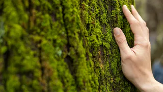 Владимирская область присоединилась к новому нацпроекту «Экологическое благополучие»