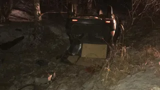 Будьте осторожны за рулем: за прошедшие сутки в Рязанской области произошло 2 ДТП