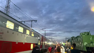 Такое я видела впервые: попутчица была с попугаем, котом и собакой - турист про незабываемую ночь в плацкарте РЖД 