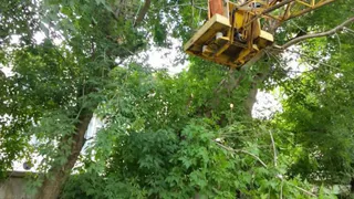 В мэрии Рязани после совещания начали искать рабочих в дирекцию благоустройства