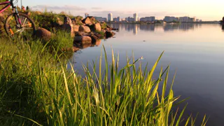 Поехали в Беларусь всей семьёй и через пару дней начали чесать затылок: 9 неожиданных вещей, к которым мы были не готовы