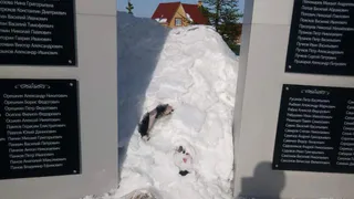 В Пачелме пообещали отремонтировать Мемориал Воинской Славы после жалоб