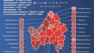 22 брянца умерли от коронавируса за сутки