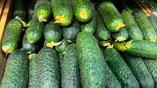 Эти 2 сорта огурцов - настоящие рекордсмены: Сеем только их - урожаем валят уверенно