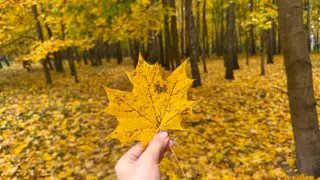 Рязанцев ждет аномальное тепло: синоптик рассказал, когда будет первое серьёзное похолодание