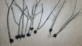 В Муроме поймали уголовника с 340 граммами запрещённых веществ