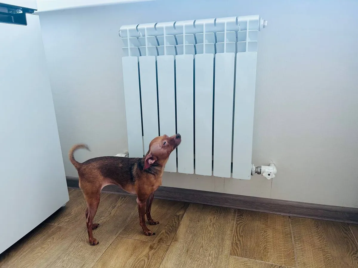 Пенсионерам сообщили о приятном сюрпризе: за январь за воду и отопление можно не платить