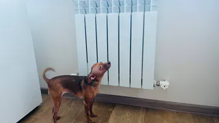 Жителей Рязани предупредили об изменении расчета платежей за отопление с 1 марта