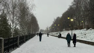 В Татарстан пришла зима: начало недели ознаменуется морозами и выпадением снега
