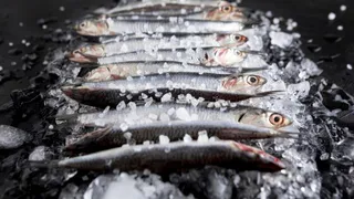 Эта рыба буквально кишит паразитами: мы ее подаем на стол и даем детям. В ней нашли 10-метровых червей