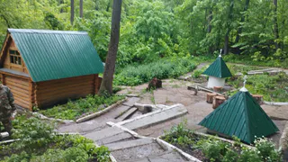 Два фермера поняли, что сельским хозяйством семью не прокормишь, собрали вещи, семьи, и ушли в лес: вот что они придумали