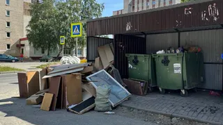 Мэрия рапортует о борьбе с мусором