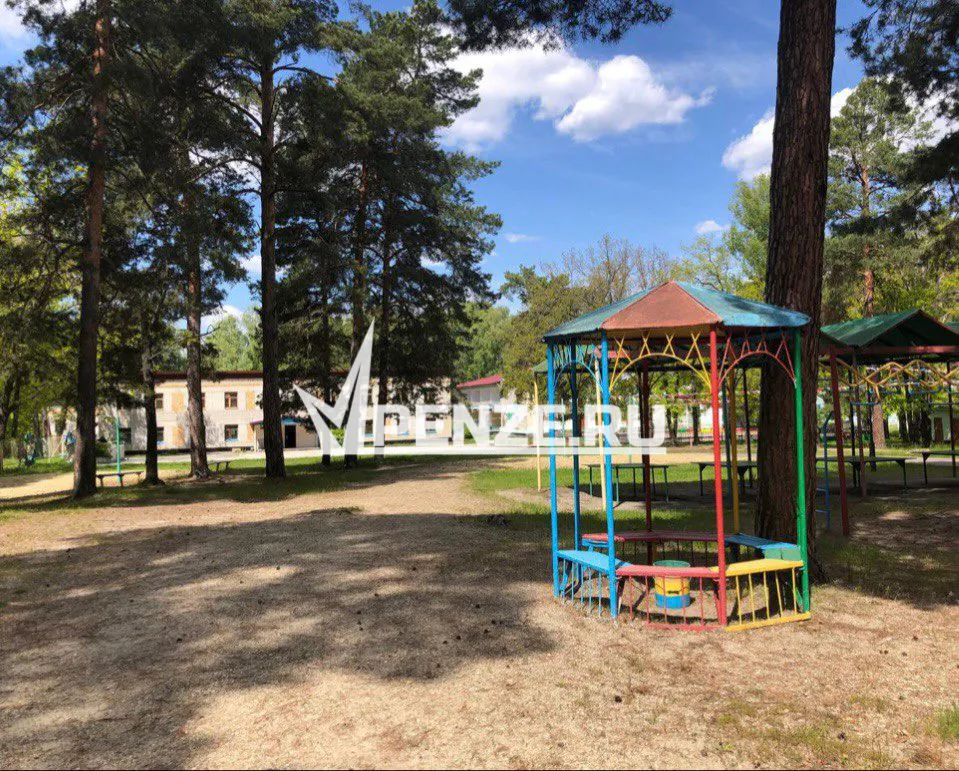 Сотрудники Минобра обделили одаренных детей путевками в лагерь «Артек»