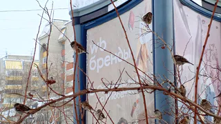 В Челябинскую область придет весеннее тепло: синоптики рассказали о погоде на 17 февраля