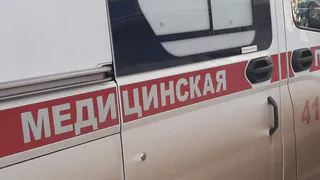 В травмпункте Нижнекамской ЦРМБ зафиксирован первый случай укуса клеща