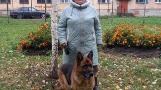 В Чувашии полицейские стали героями: 75-летней женщине вернули ее пропавшую собаку