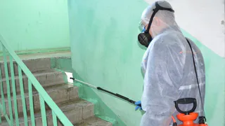 Дезинфекция подъездов: в Рязани продолжается контроль за работой управляющих организаций