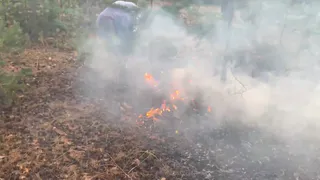 Отдыхающие в Фефеловом бору оставили после себя пожар: видео