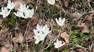 Жителям Коми рассказали, когда ждать настоящее весеннее тепло
