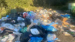 Контейнерную площадку в деревне Акулово превратили в большую свалку