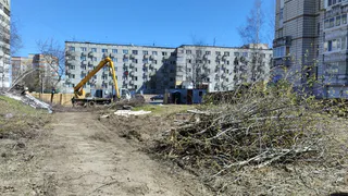 В Сыктывкаре  уничтожили яблоневую аллею