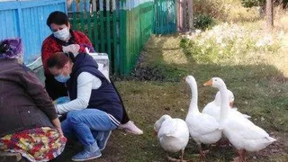 Современный подход к выборам: в Шацком районе на избирательный участок пришли гуси