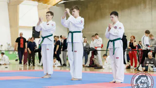 Владимирские тхэквондисты завоевали более 100 медалей на чемпионате ЦФО