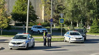 Верховный Суд поставил точку: нужно ли водителю ждать, пока пешеход полностью перейдёт дорогу