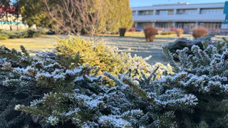 Замерзнем раньше срока: какого числа заморозки ударят по России – уже в сентябре